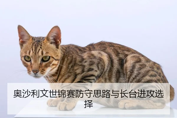 奥沙利文世锦赛防守思路与长台进攻选择