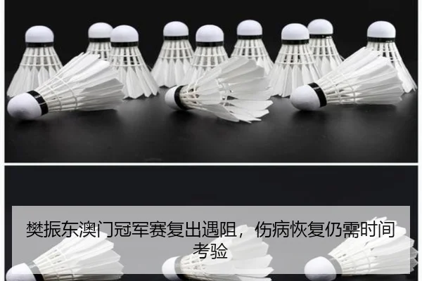fan-zhen-dong-ao-men-guan-jun-sai-fu-chu-yu-zu-shang-bing-hui-fu-reng-xu-shi-jian-kao-yan-3-162.jpg