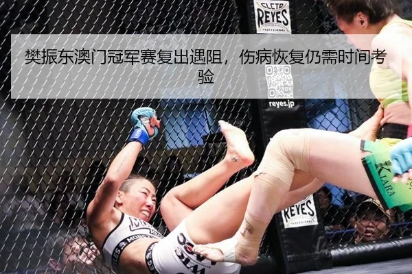 樊振东澳门冠军赛复出遇阻，伤病恢复仍需时间考验