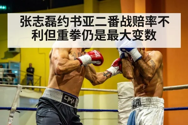 张志磊约书亚二番战赔率不利但重拳仍是最大变数