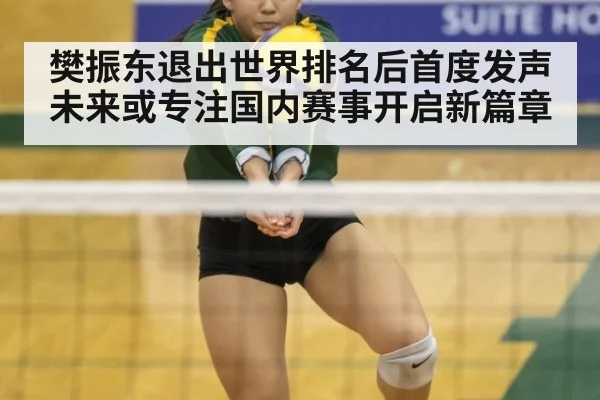 樊振东退出世界排名后首度发声未来或专注国内赛事开启新篇章